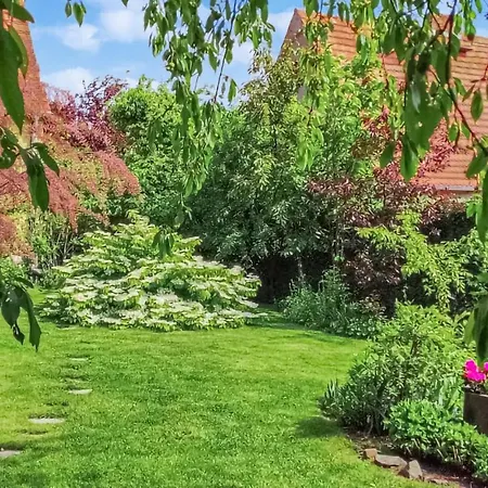 شقة Gorgeous In With Wifi *