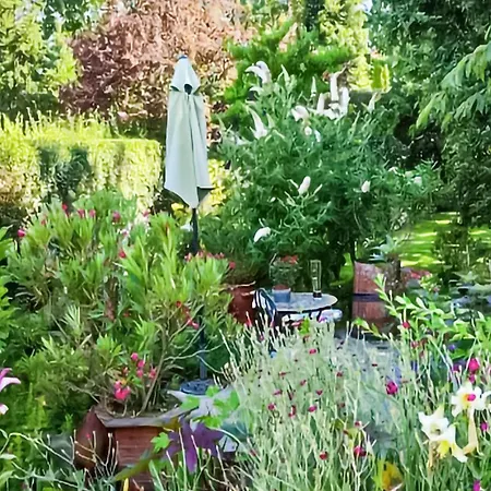 Gorgeous In With Wifi Sobótka