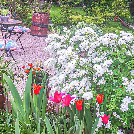 Gorgeous In With Wifi شقة