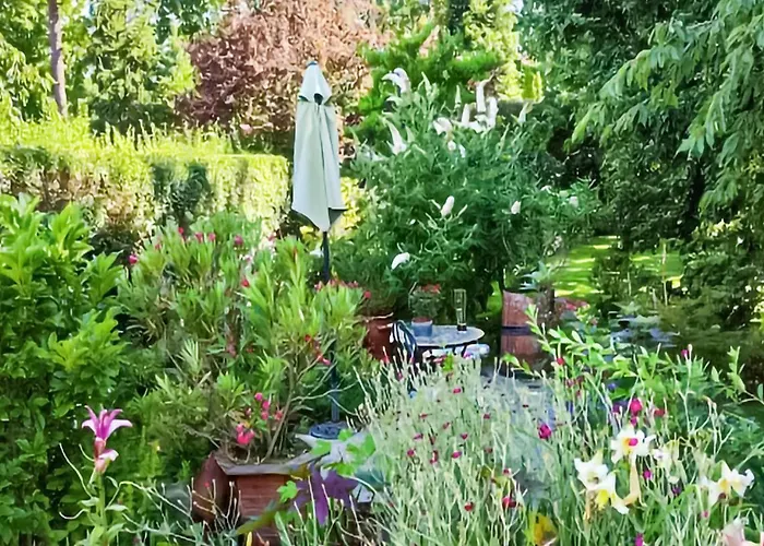 Gorgeous In With Wifi Sobótka